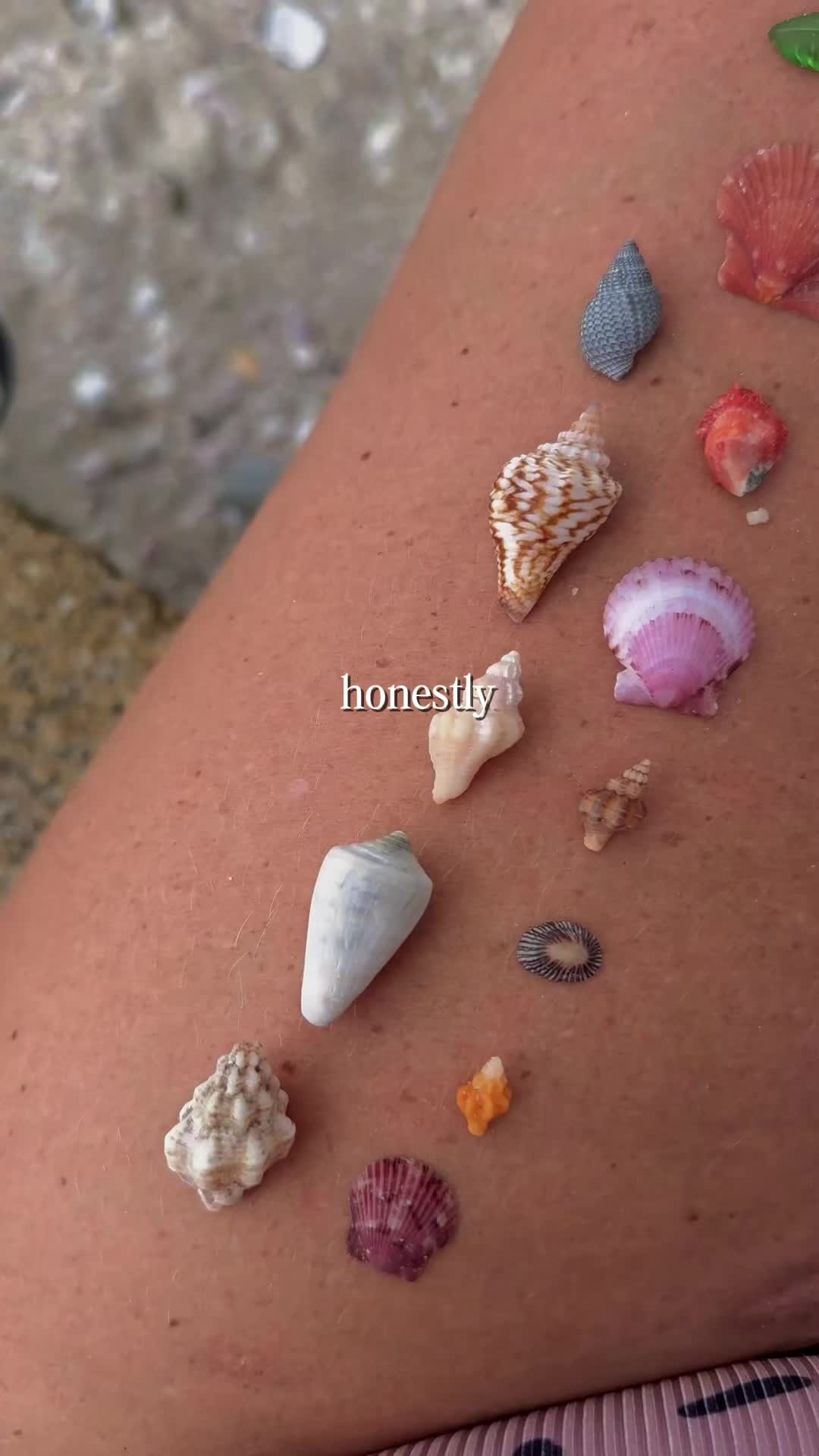 @🌺🐚🌴SarahMay🌴🐚🌺