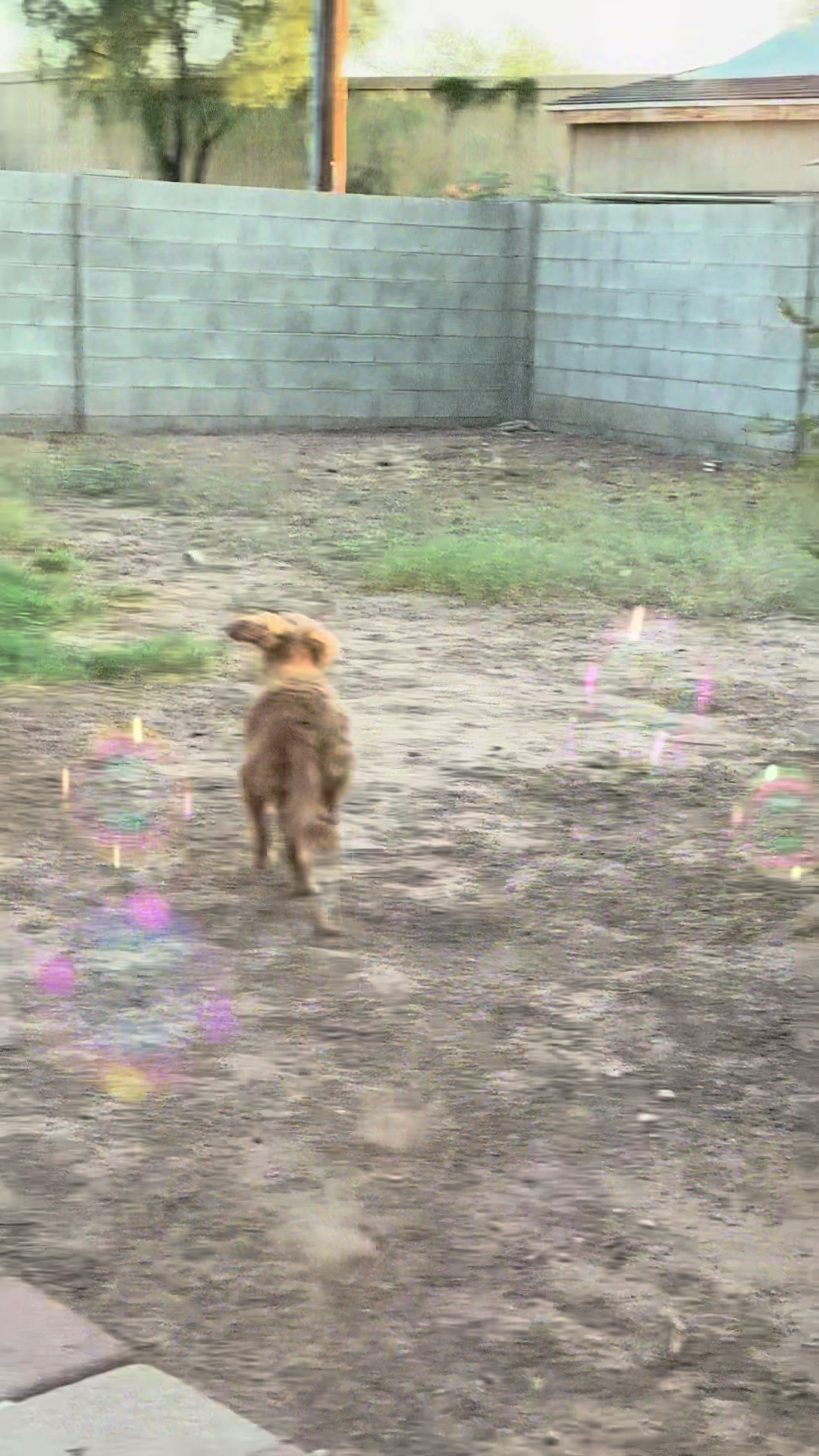 @Cristina Bejarano Ra