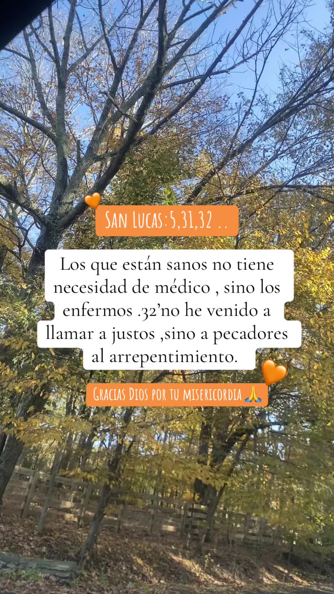 @🌻Yisel🌻