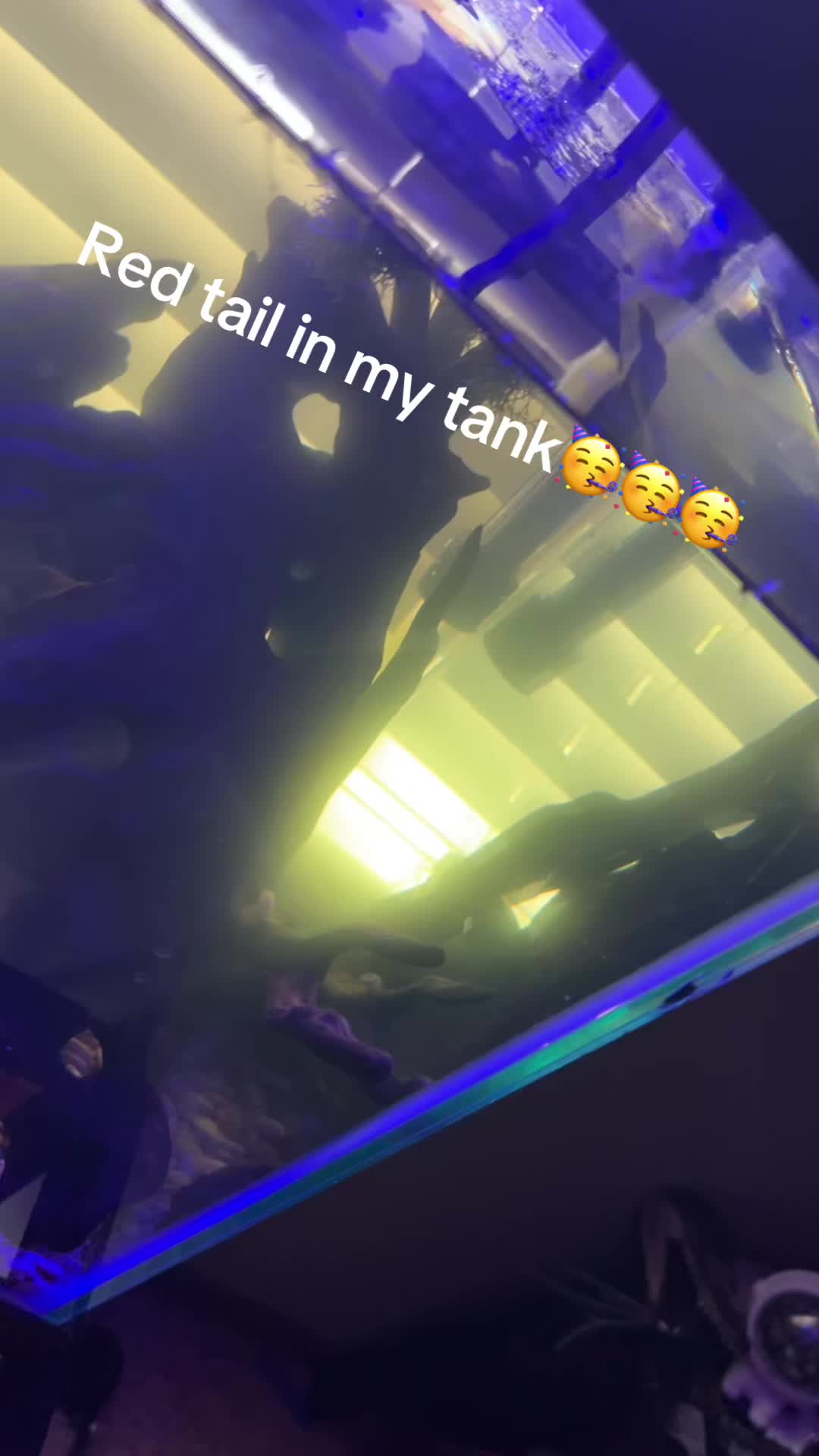 @fishunbandit.jr