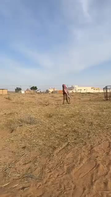 @friend circle