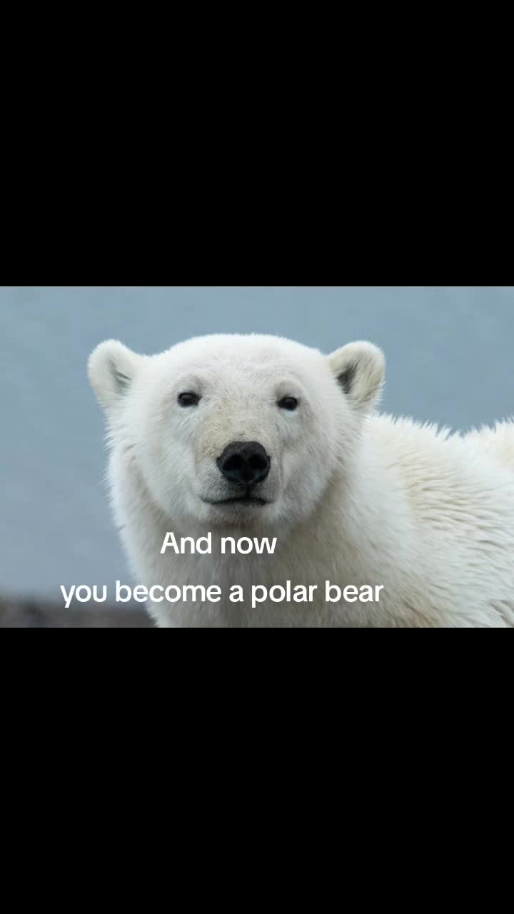 @Chris_overholt_n25