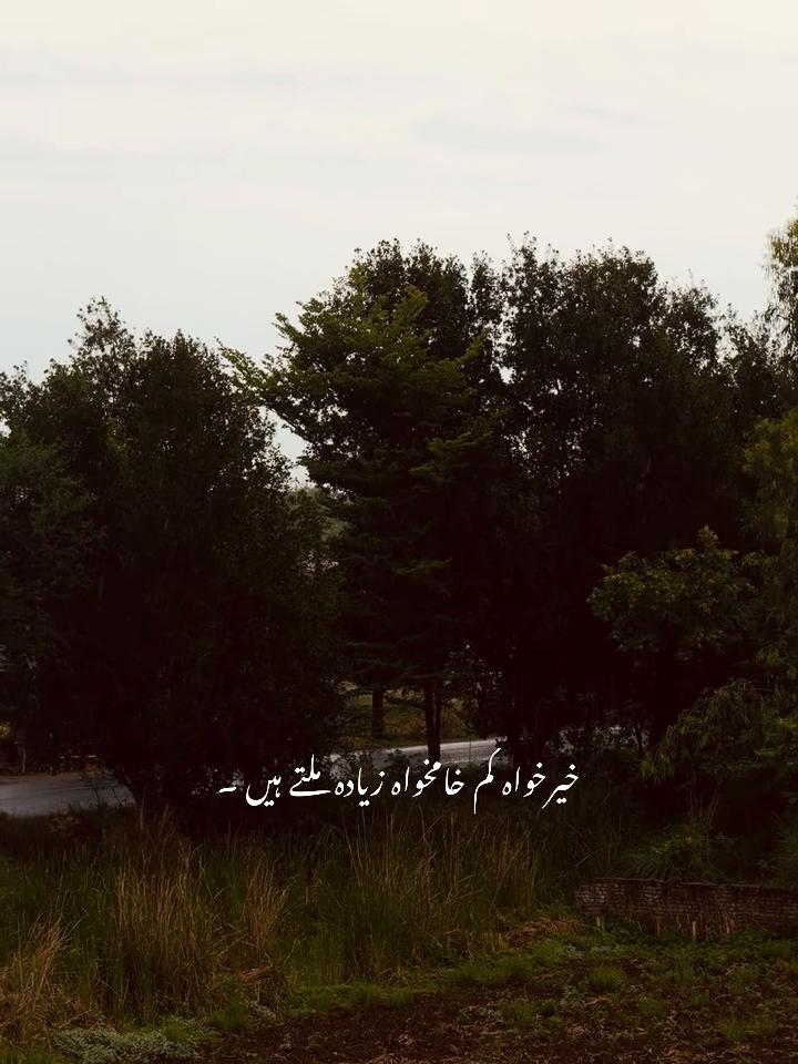 @ZH🎀🖇️
