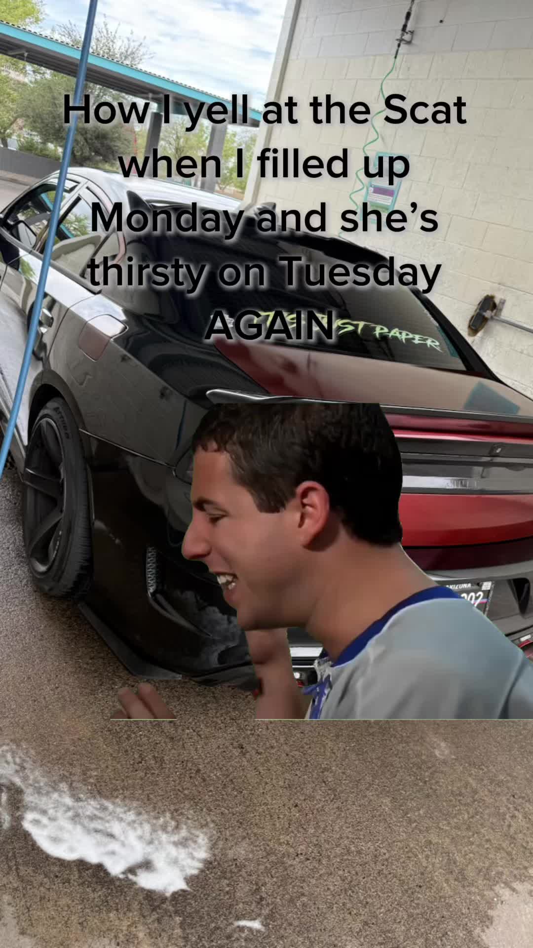 @papa_midnight_392