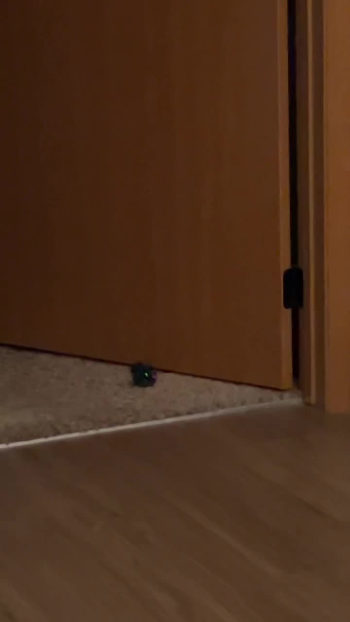 @__notamber__
