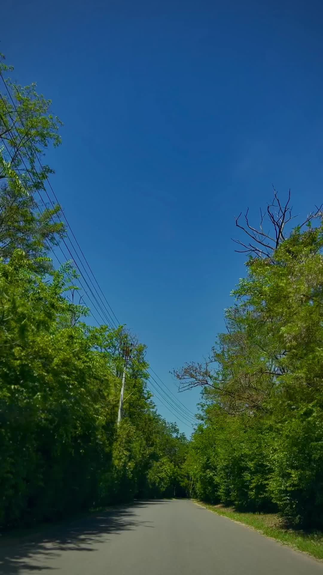 @Vlad0k!