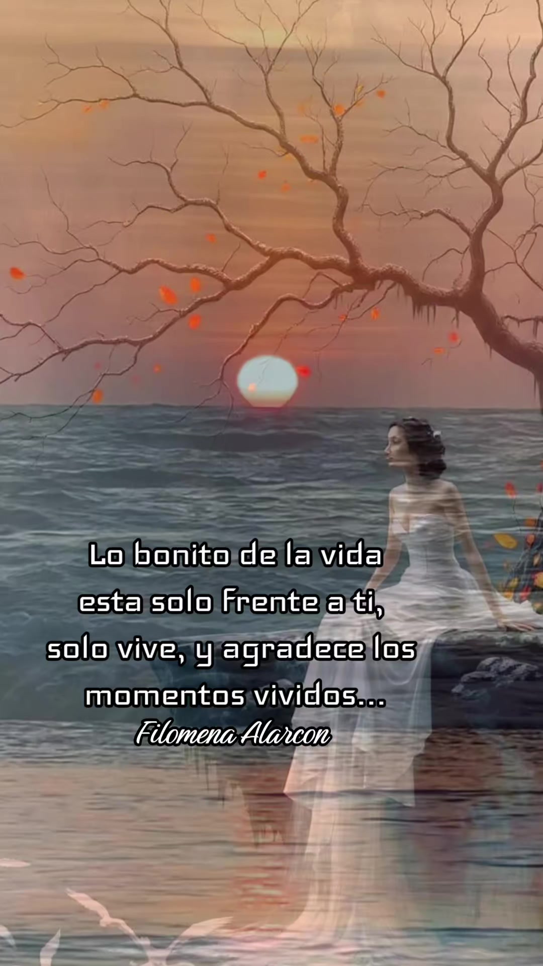@Filomena Alarcón Lara