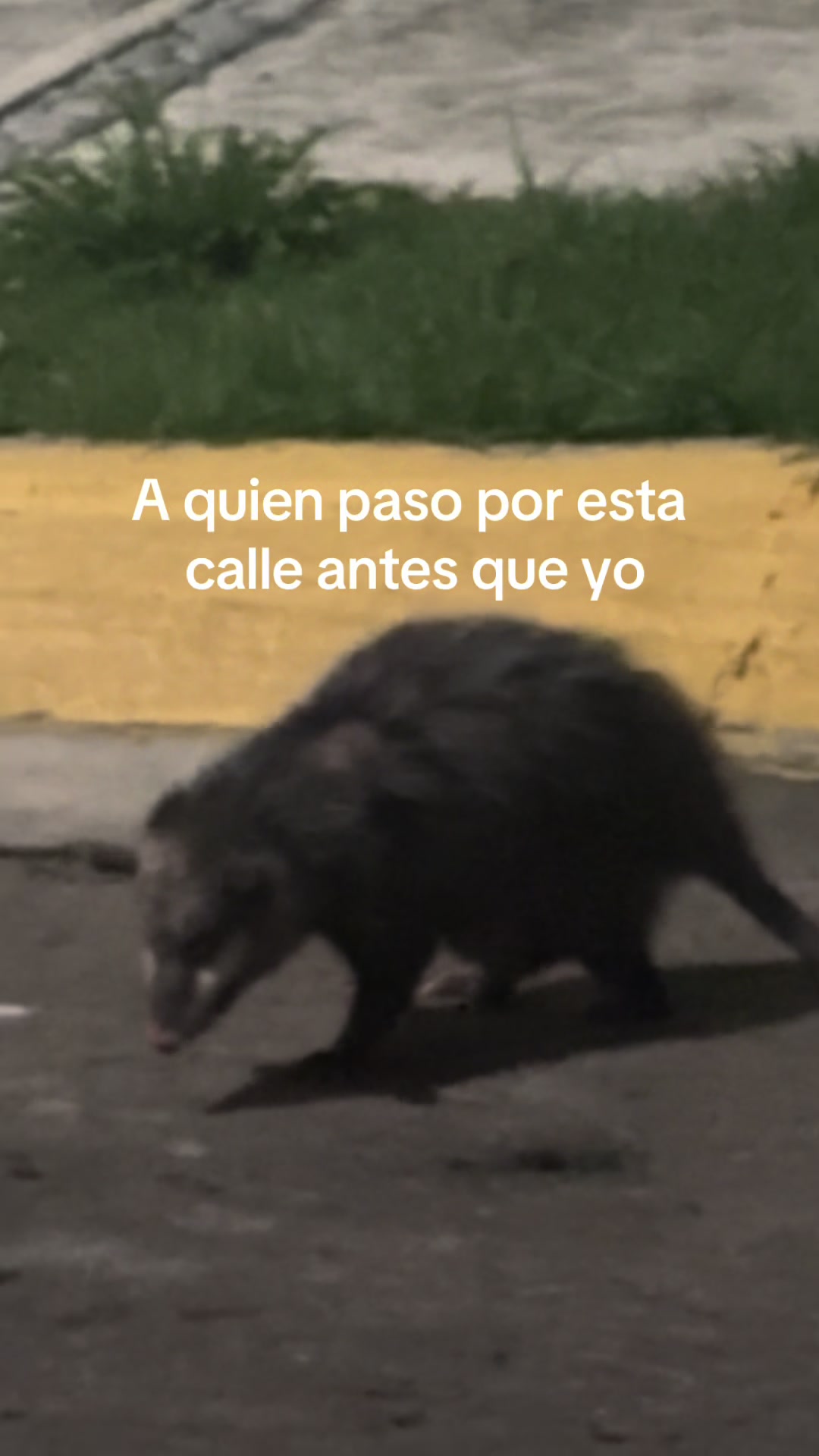 @r_derios