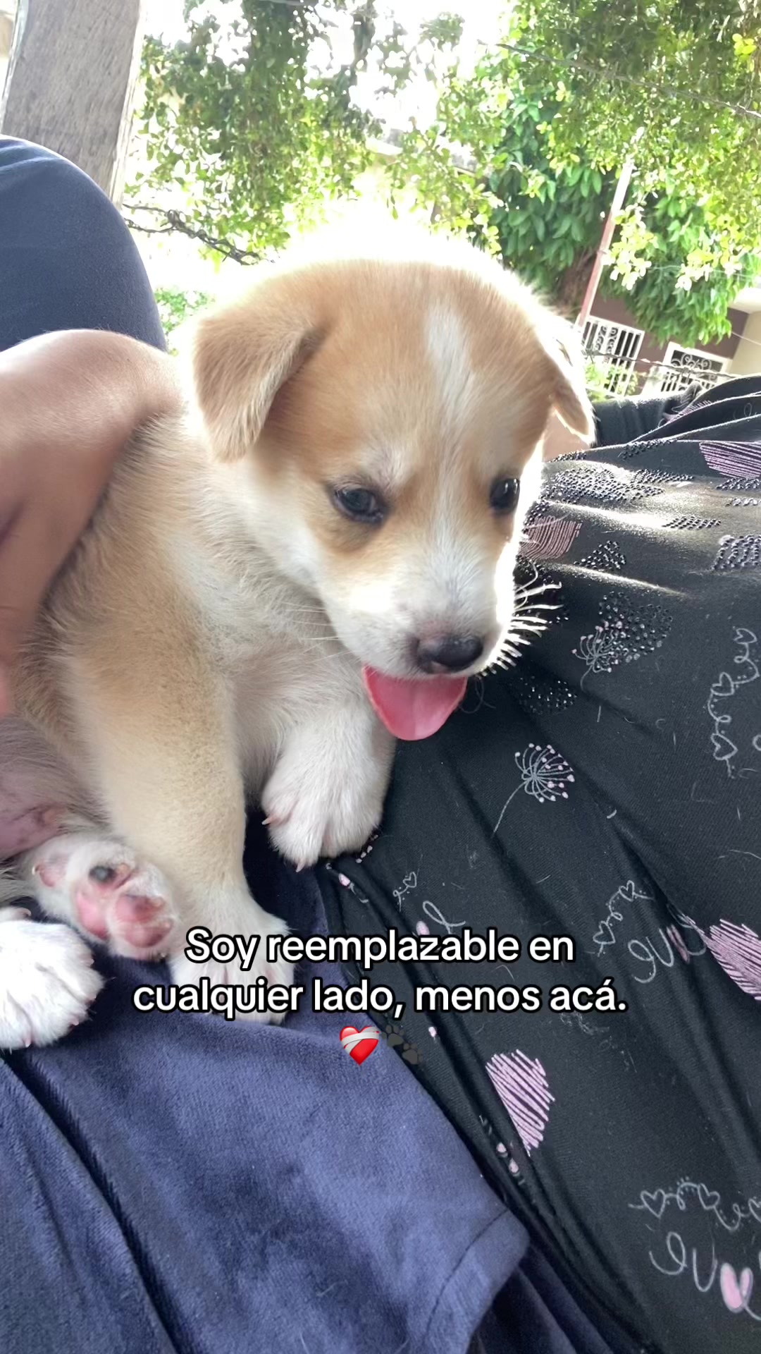 @Neisdelis💘