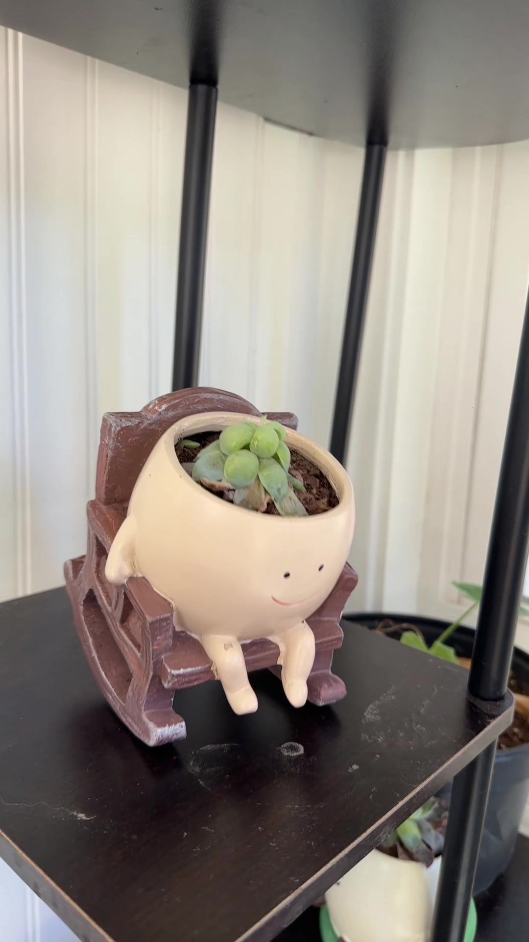 @𝐄𝐧𝐬𝐲