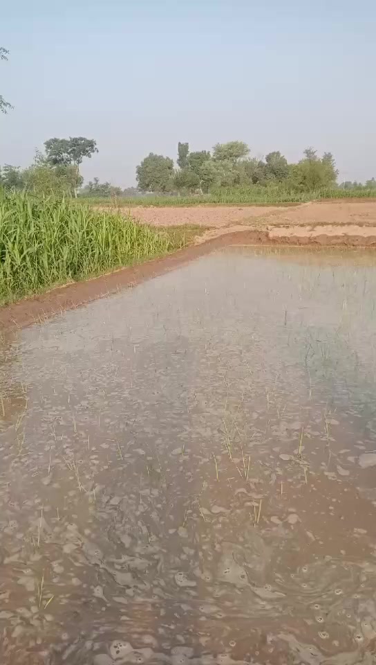 @@pendu Munda Nadeem 4GD,Ala