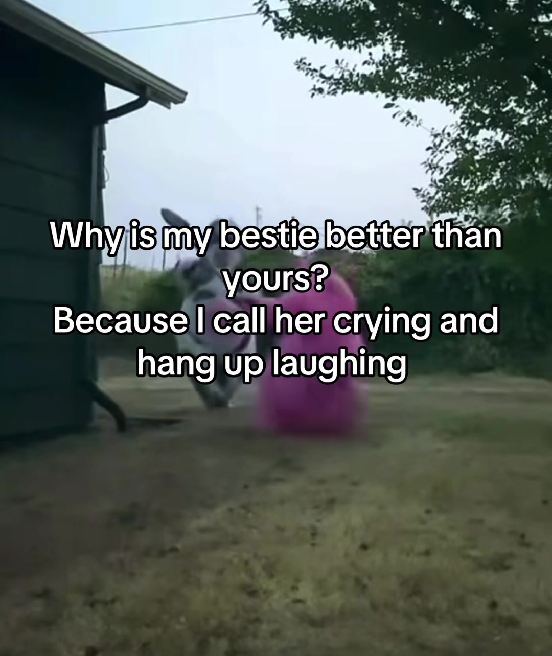 @Thatjeepbarbie