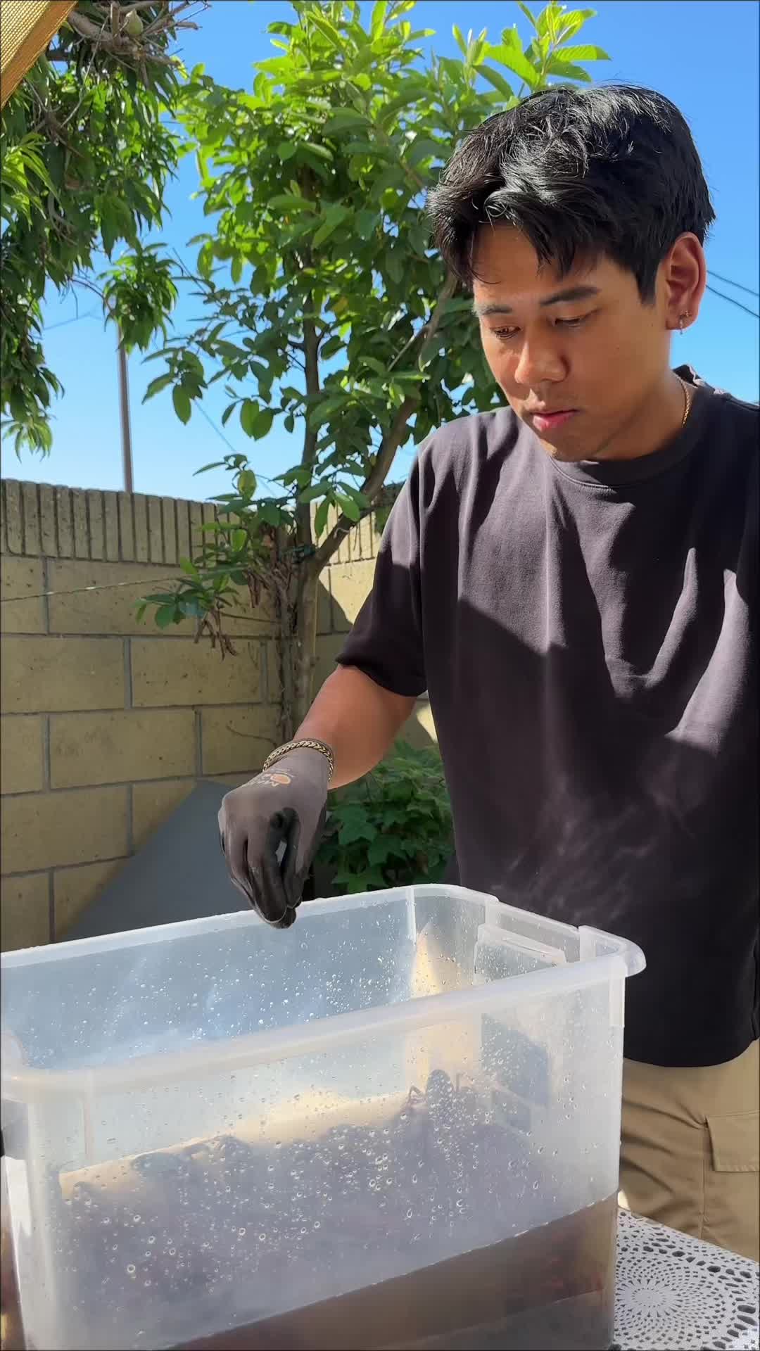 @petepduong