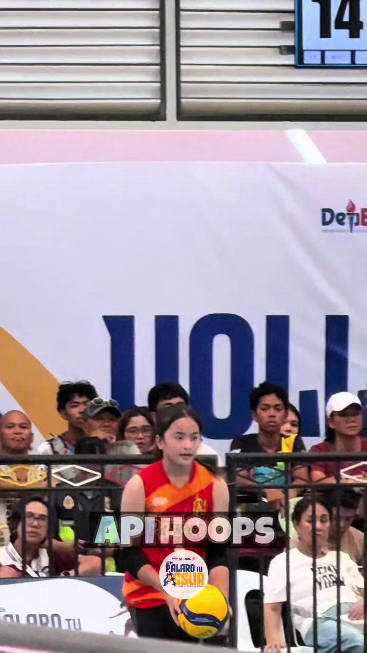 @apihoops_