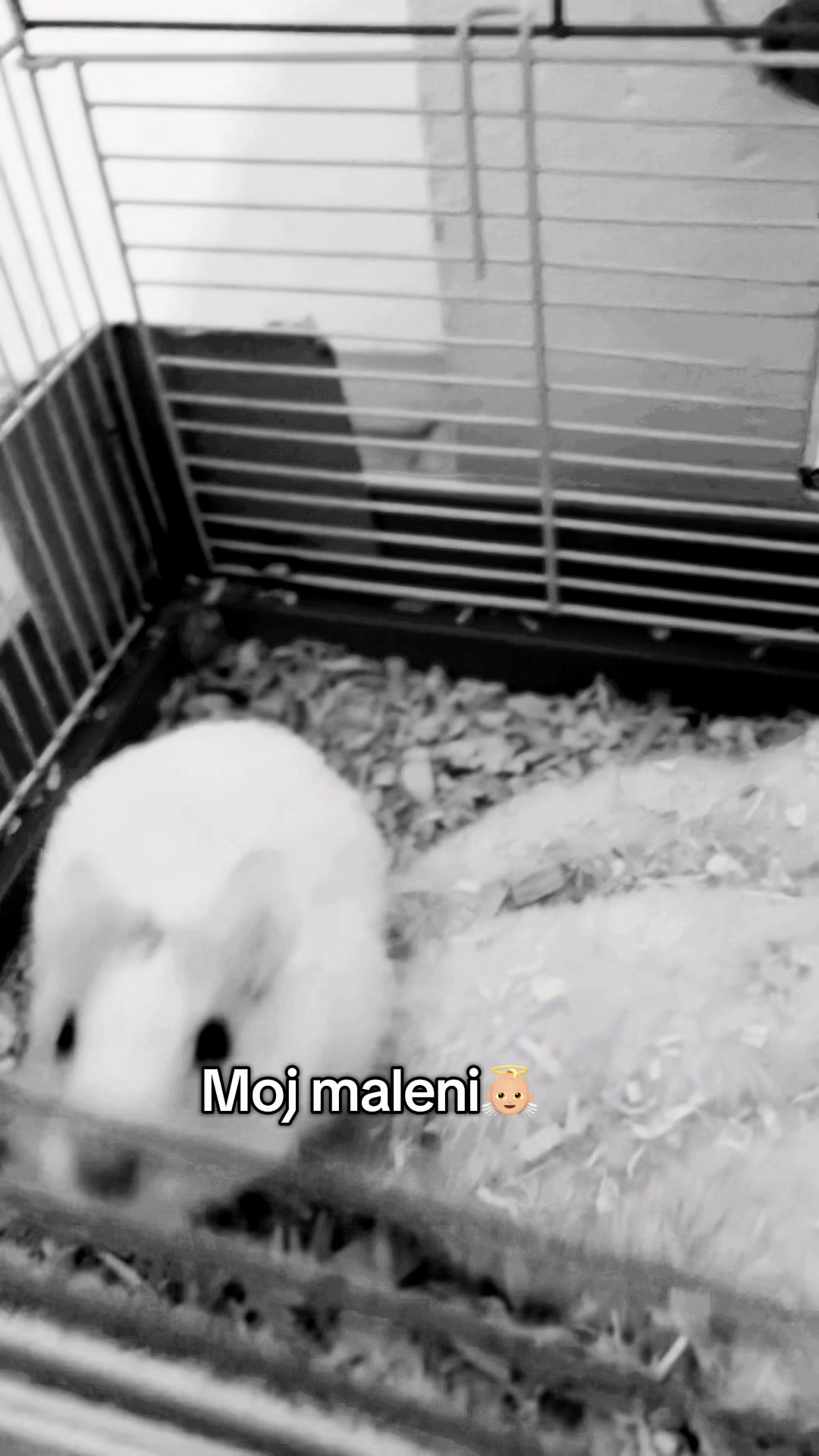 @Mina🐈⬛
