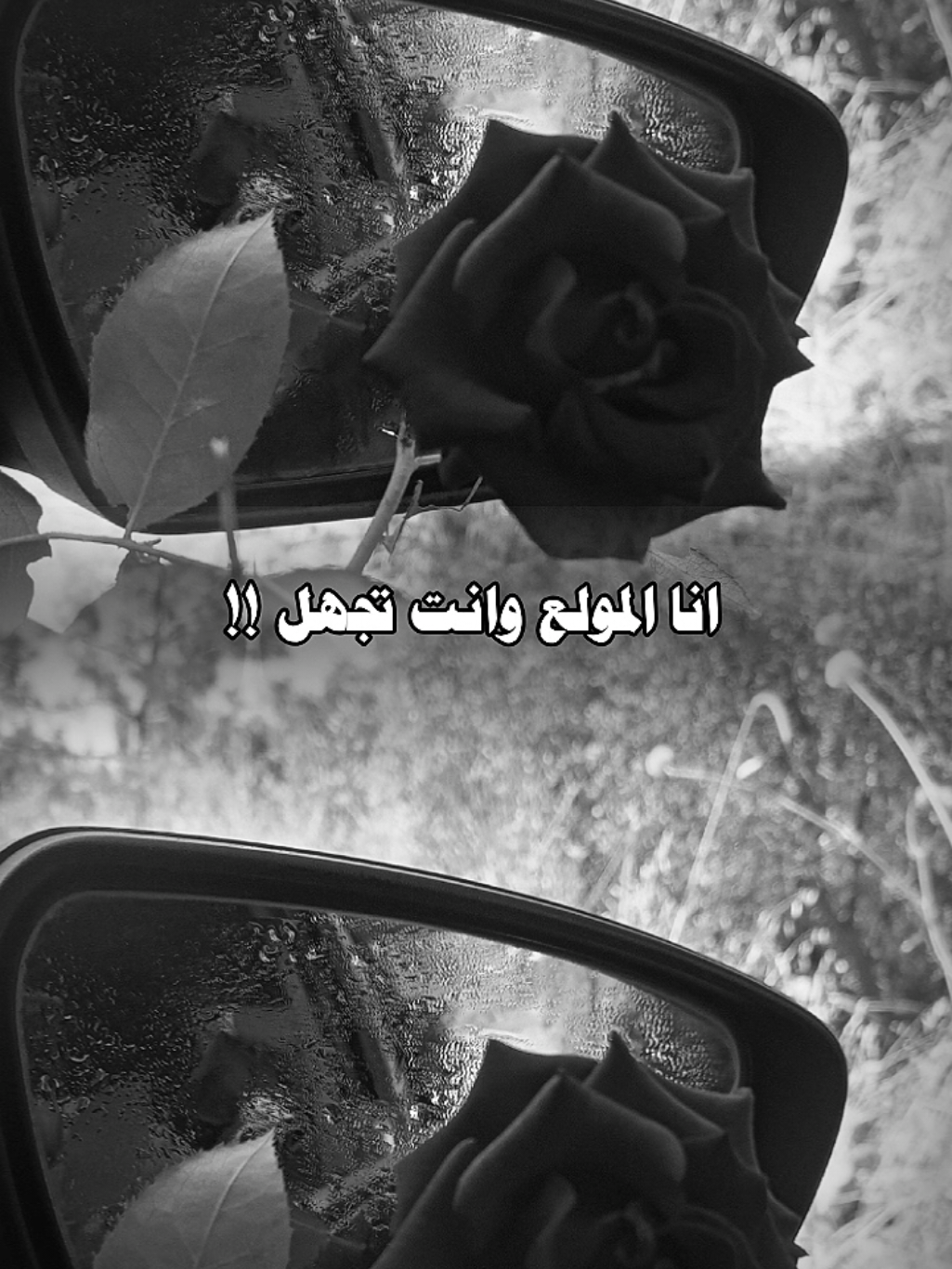 @lavendr81