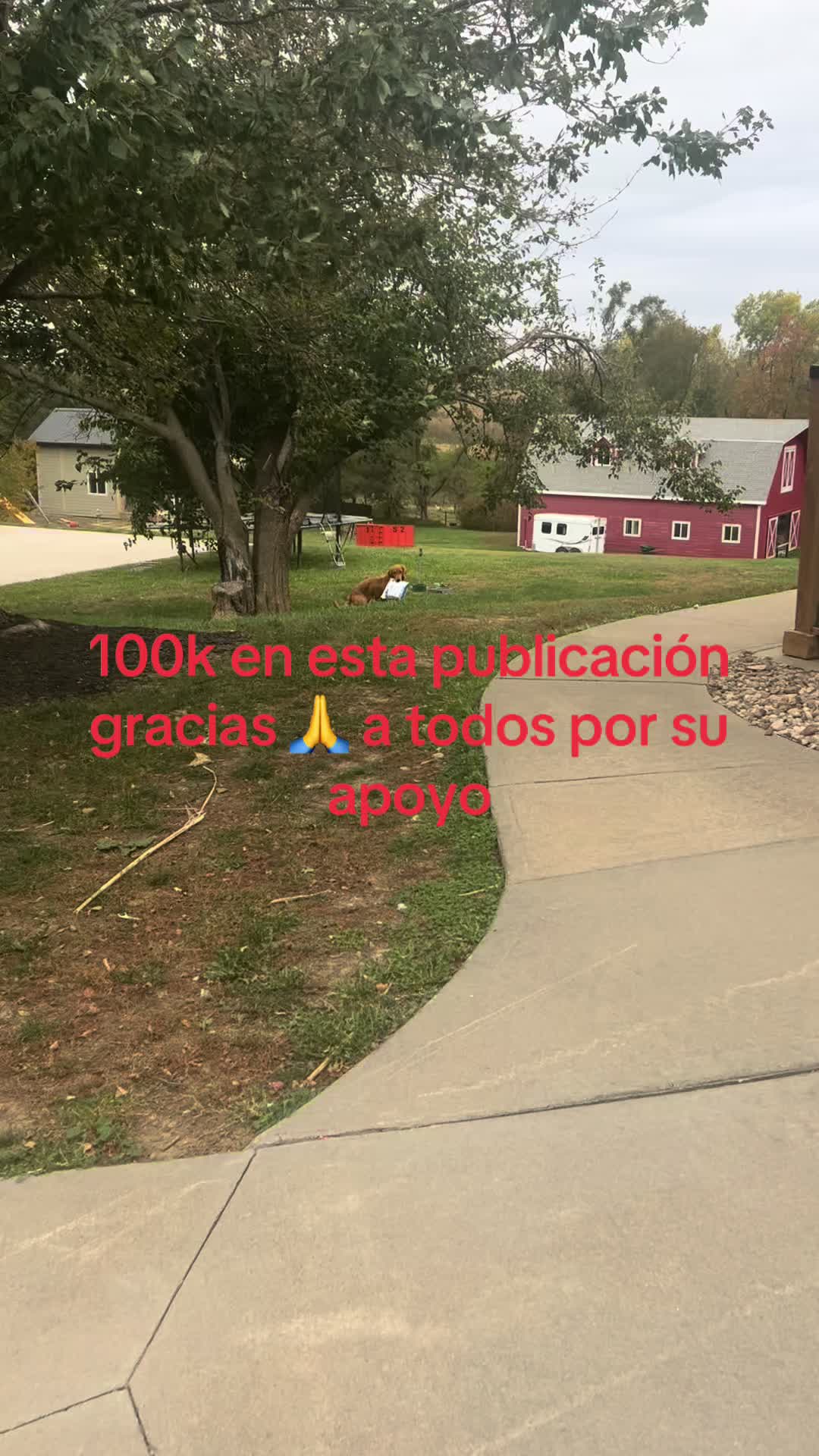 @yaudelcardenas