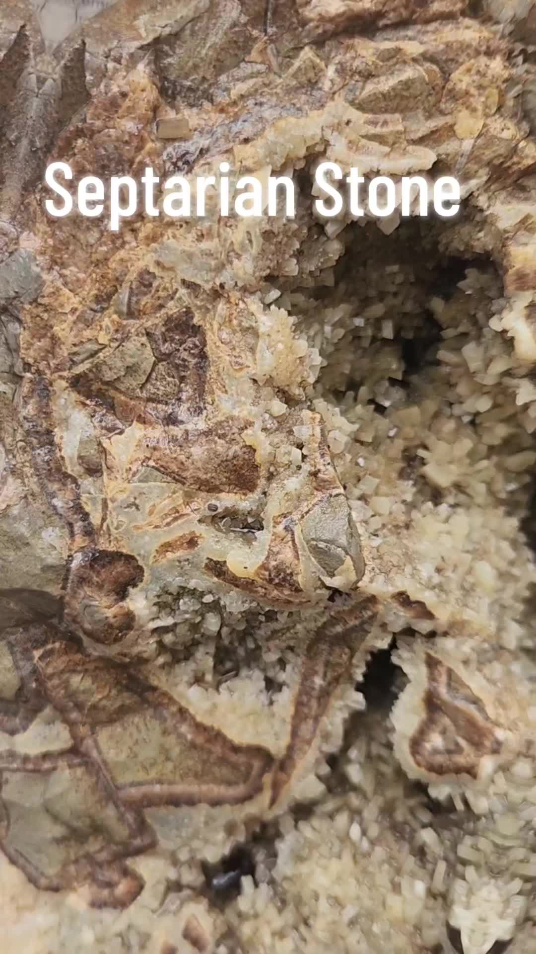 @EarthyFinds