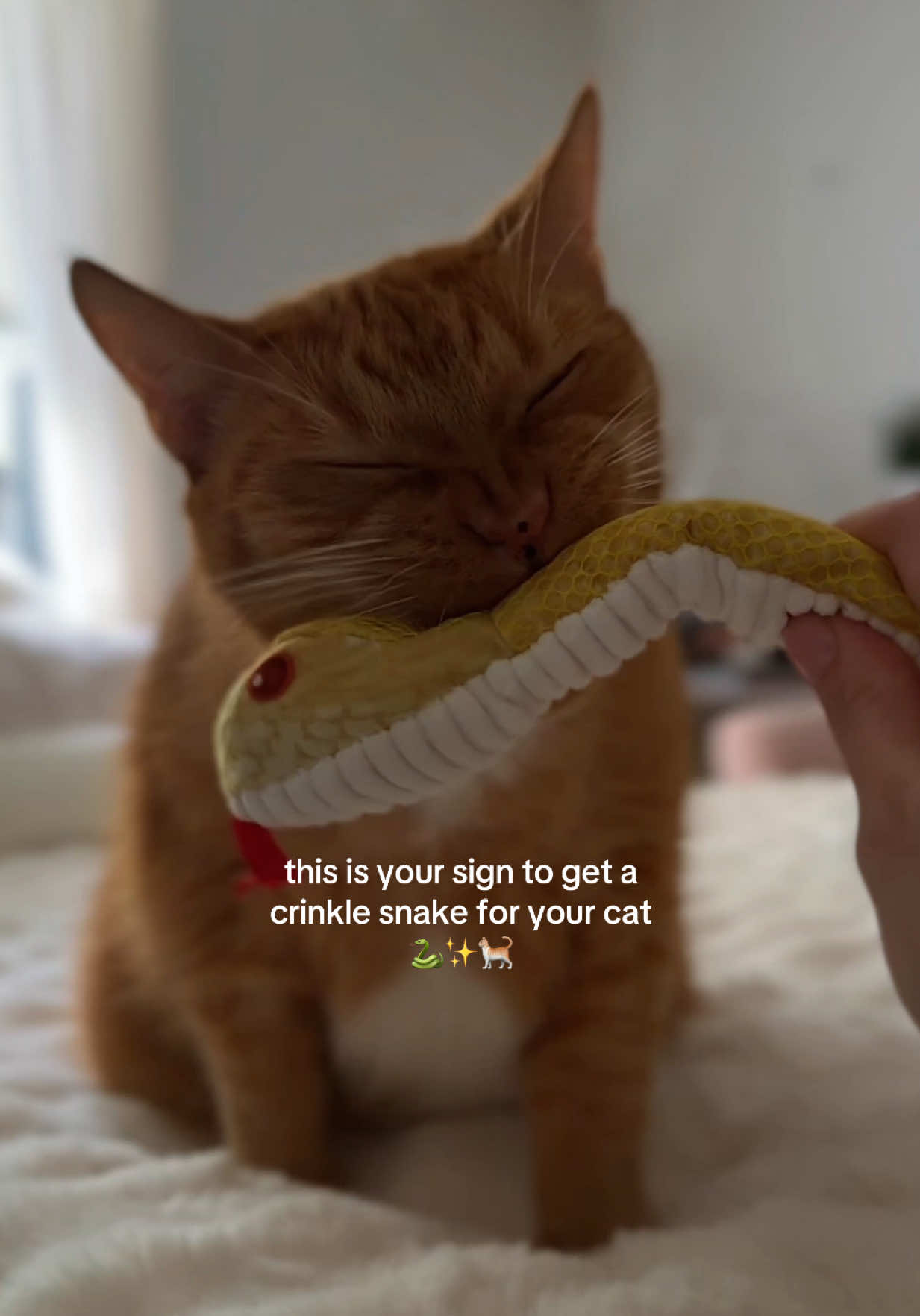 @Pepe