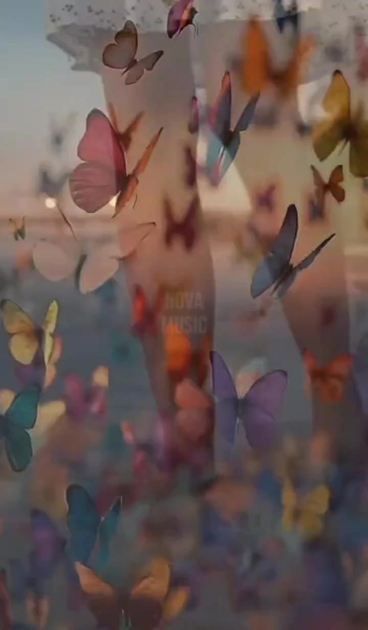 @๐ณ๐๐๐๐ ๐น๐๐๐๐ฬ๐ ๐ช.