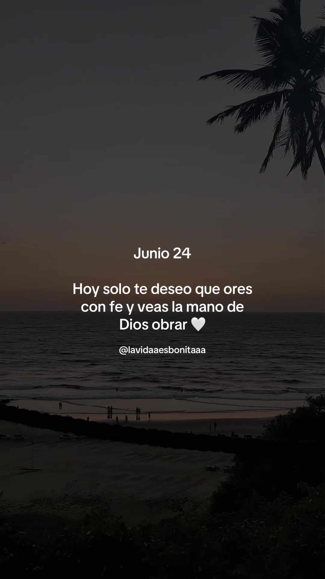 @vidabonita❤️&zwj;🩹
