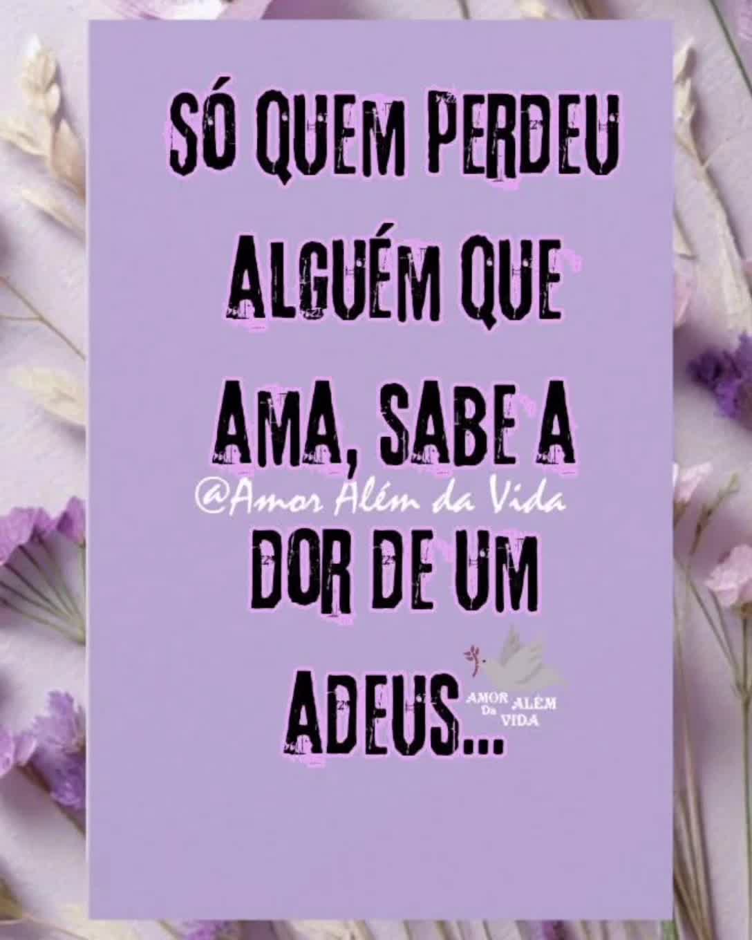 @Amanda Lacerda
