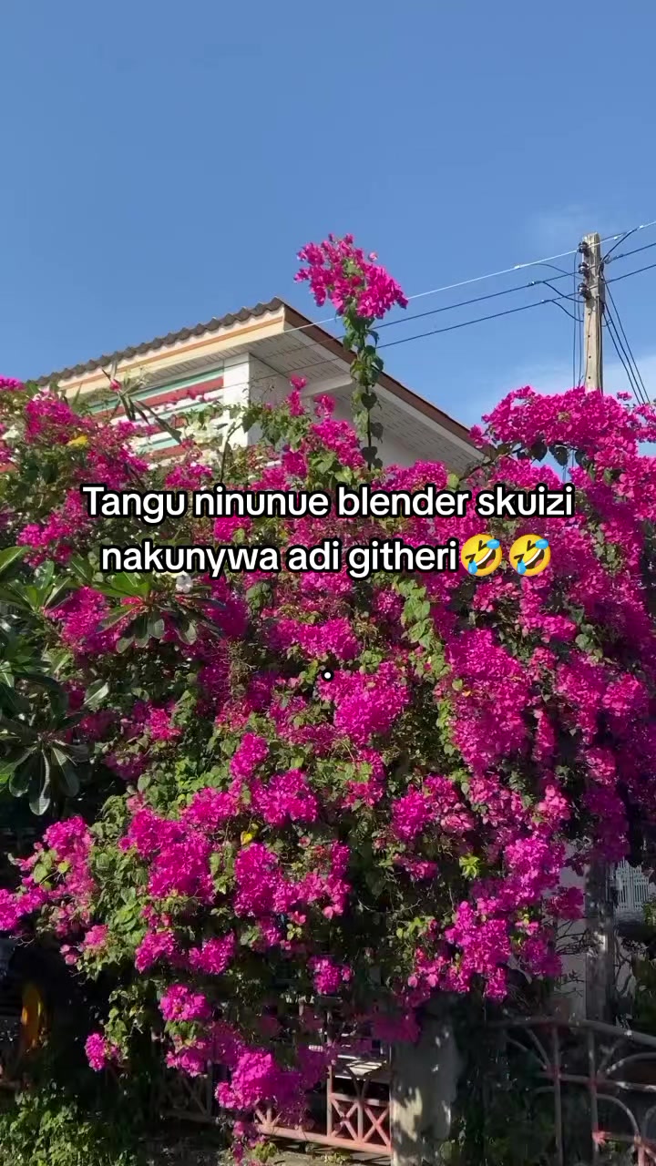 @Elion ๐♦๐