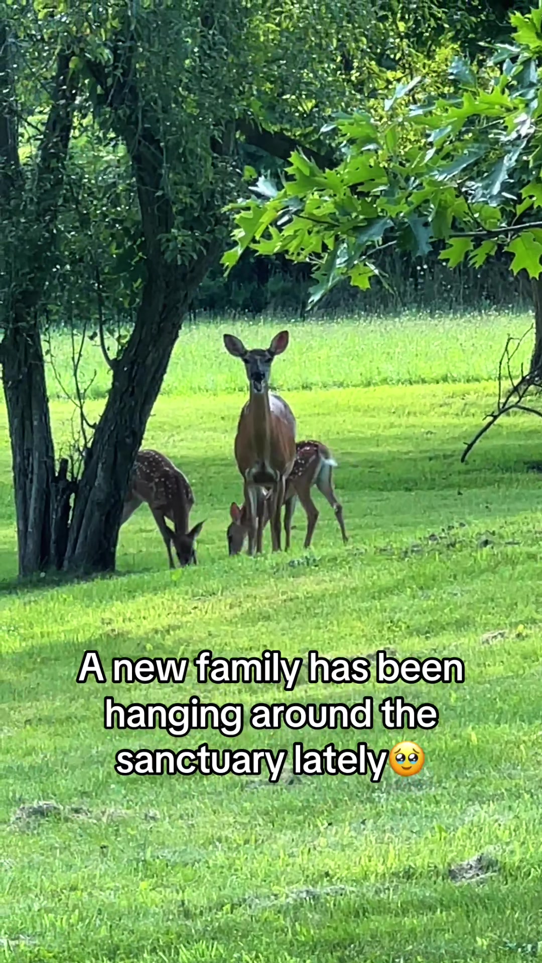 @Freedom Farmhouse