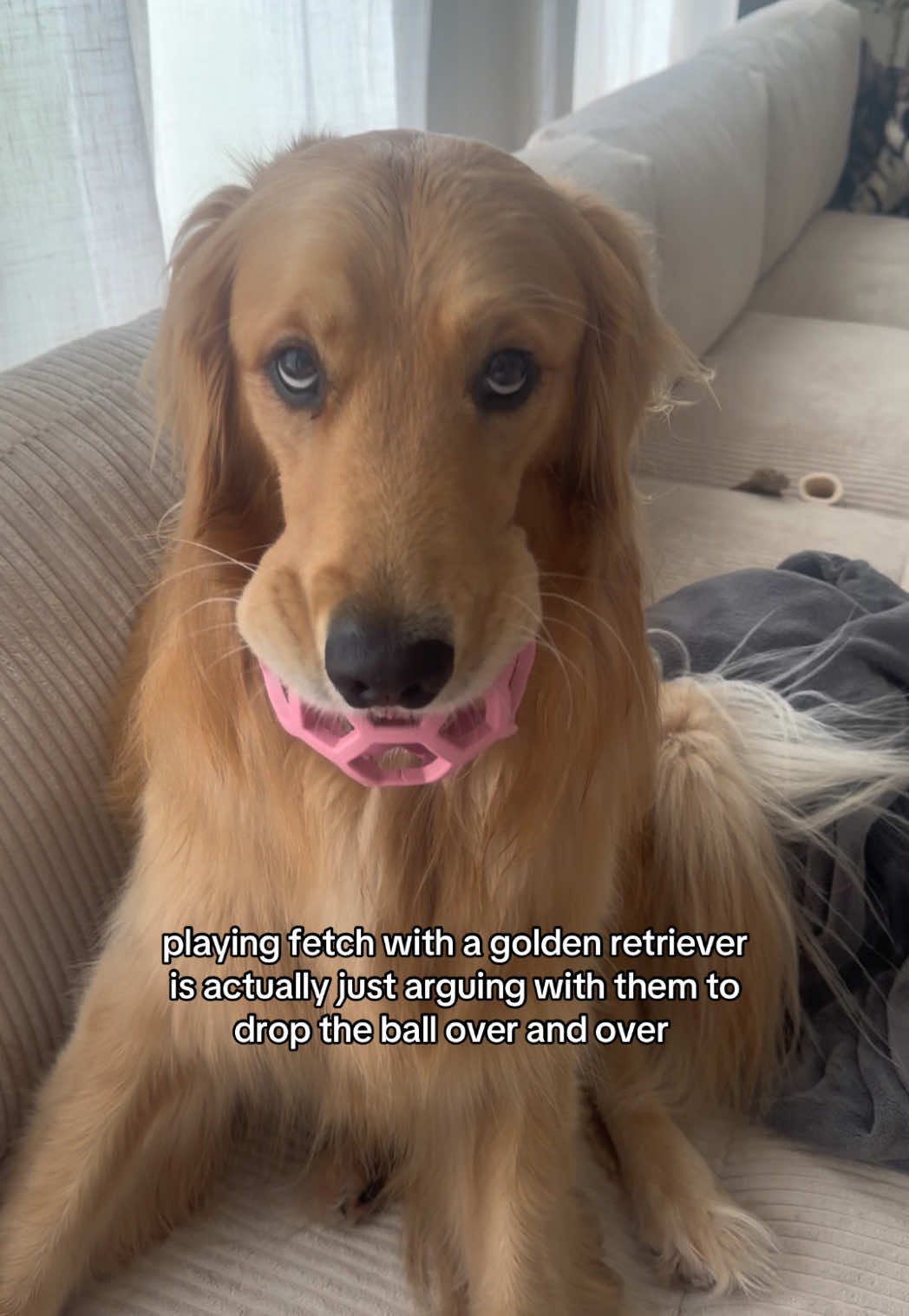 @novathegoldenn