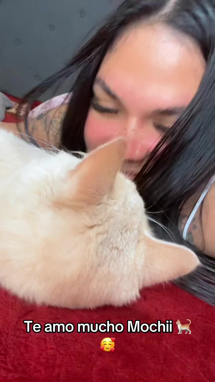 @marcelafregozo0