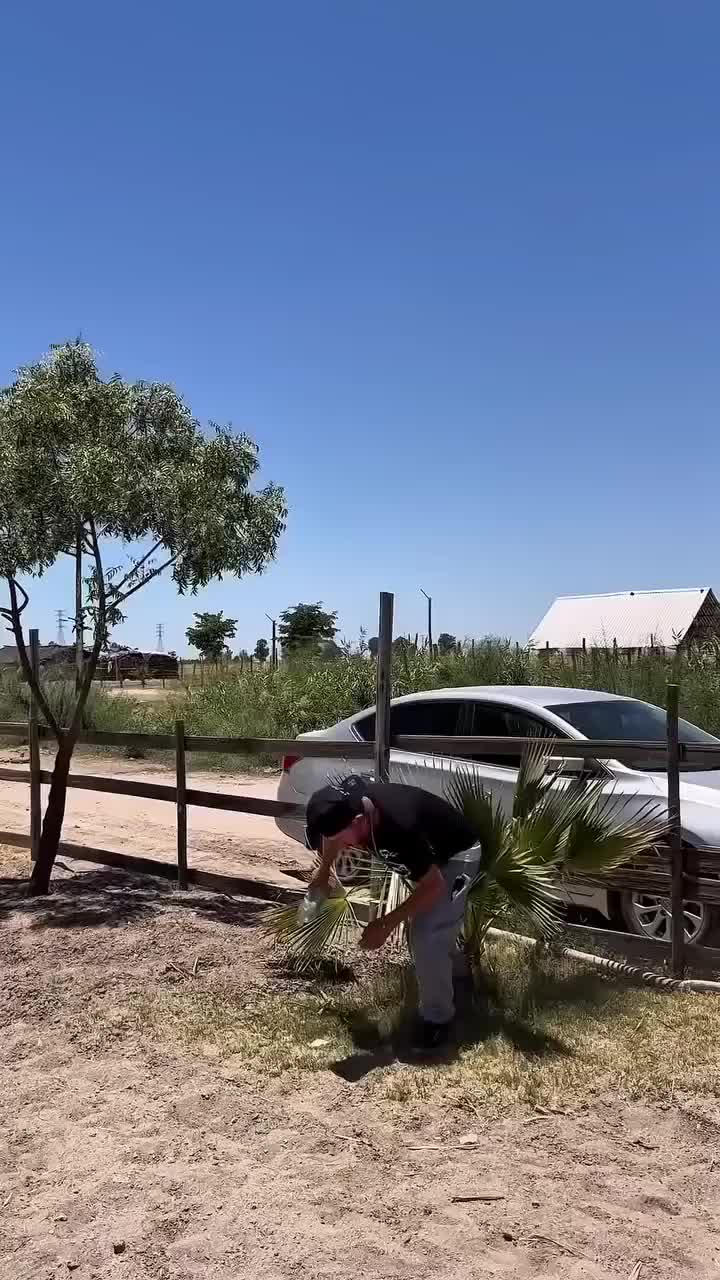 @Diegoneitroo
