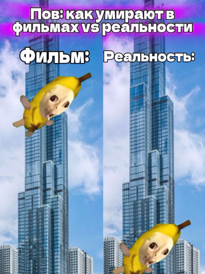 @MisterCat