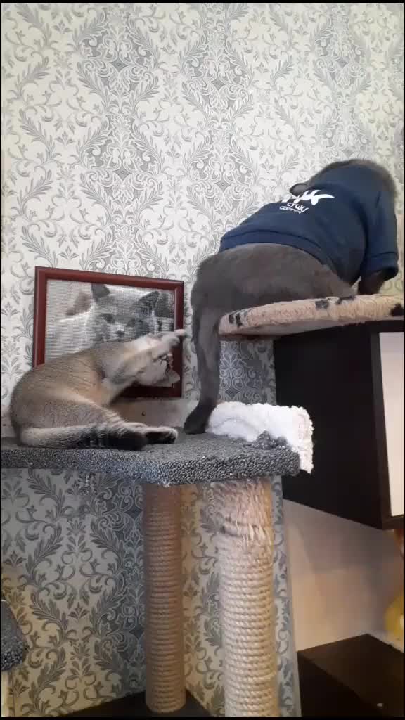 @Жанночка