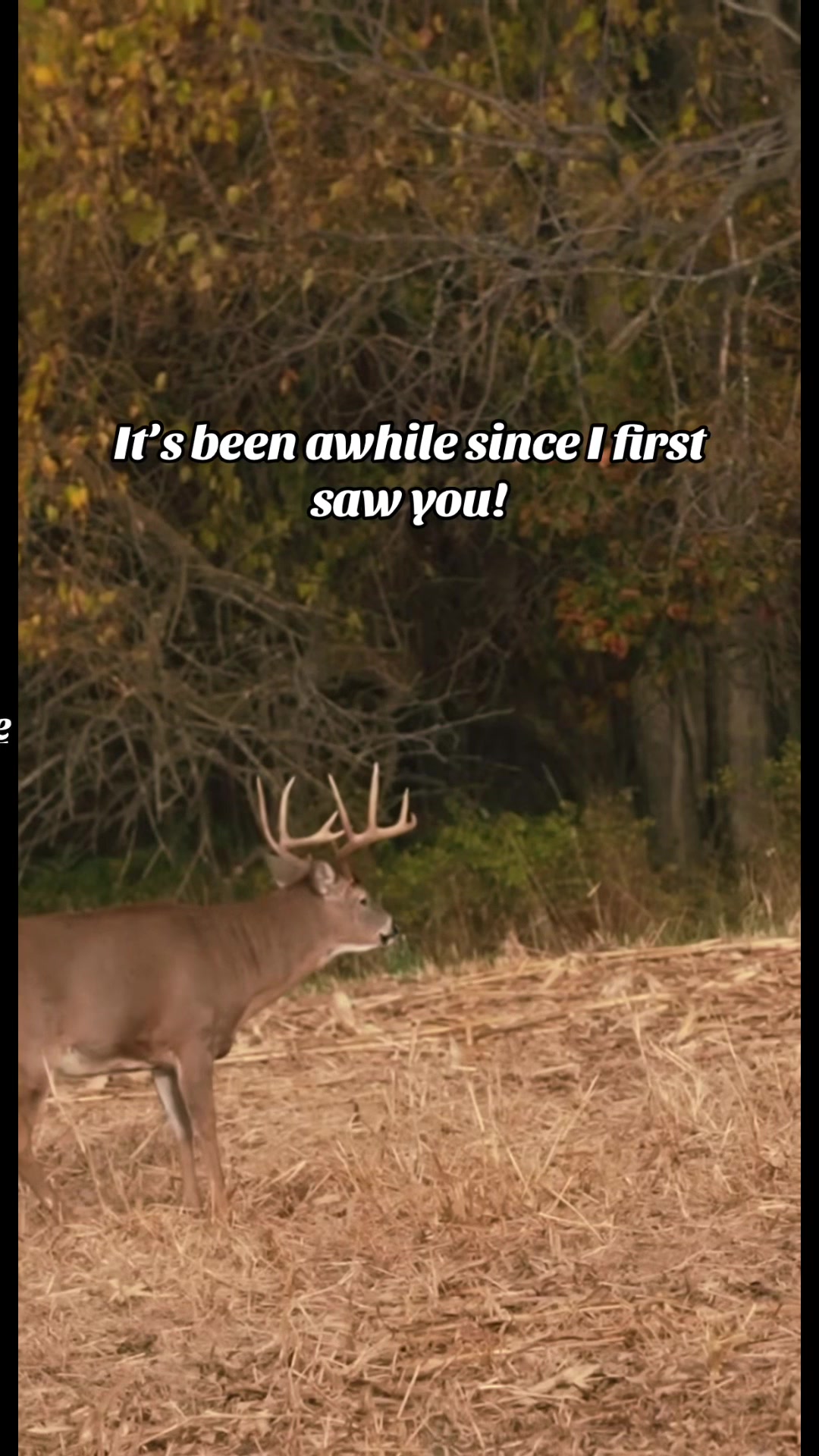 @🦌 Megabucks Outdoors 🦌