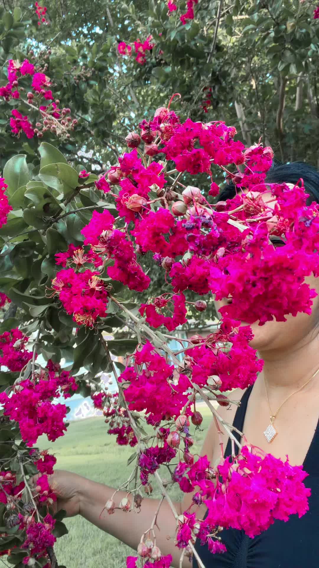 @Anju