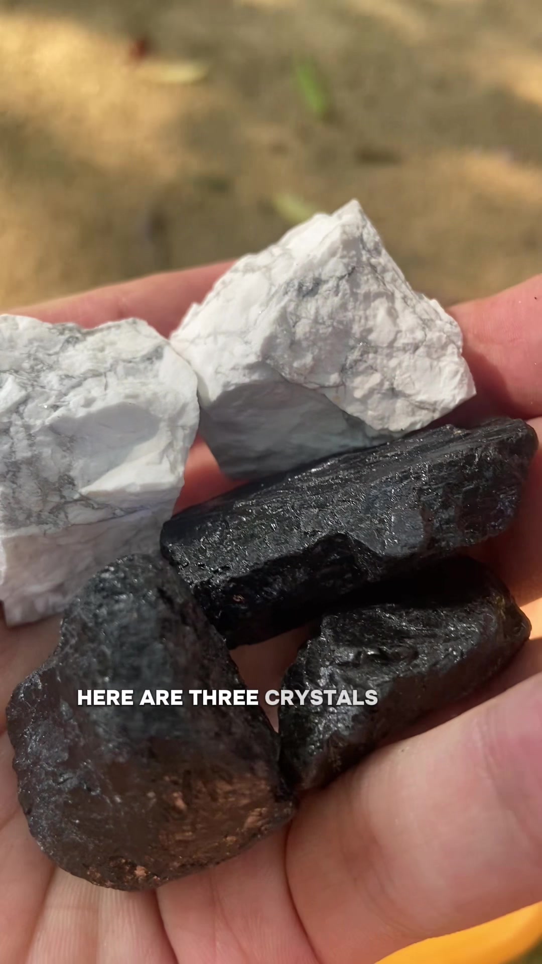 @ORVEL GEMS