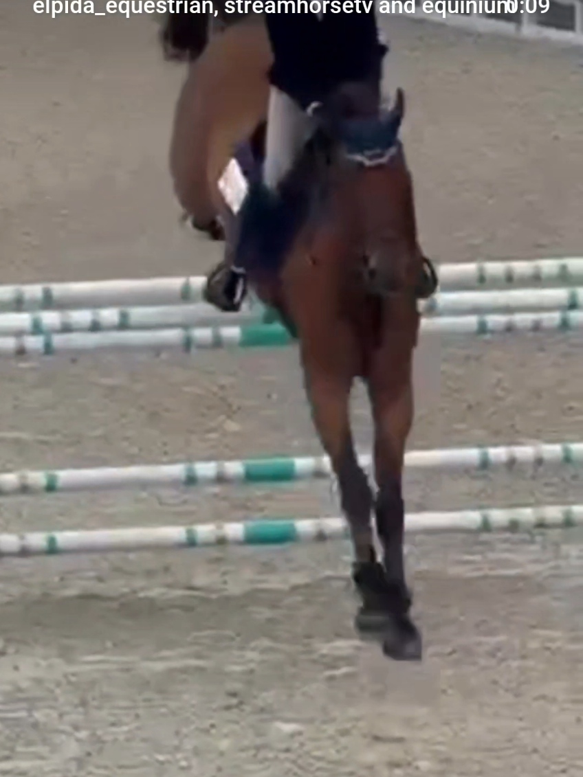 @streamhorse