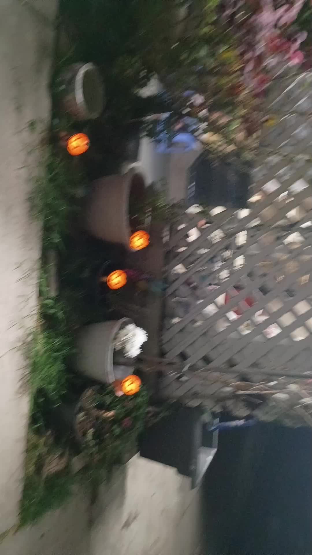@Giovanni Diaz🇲🇽