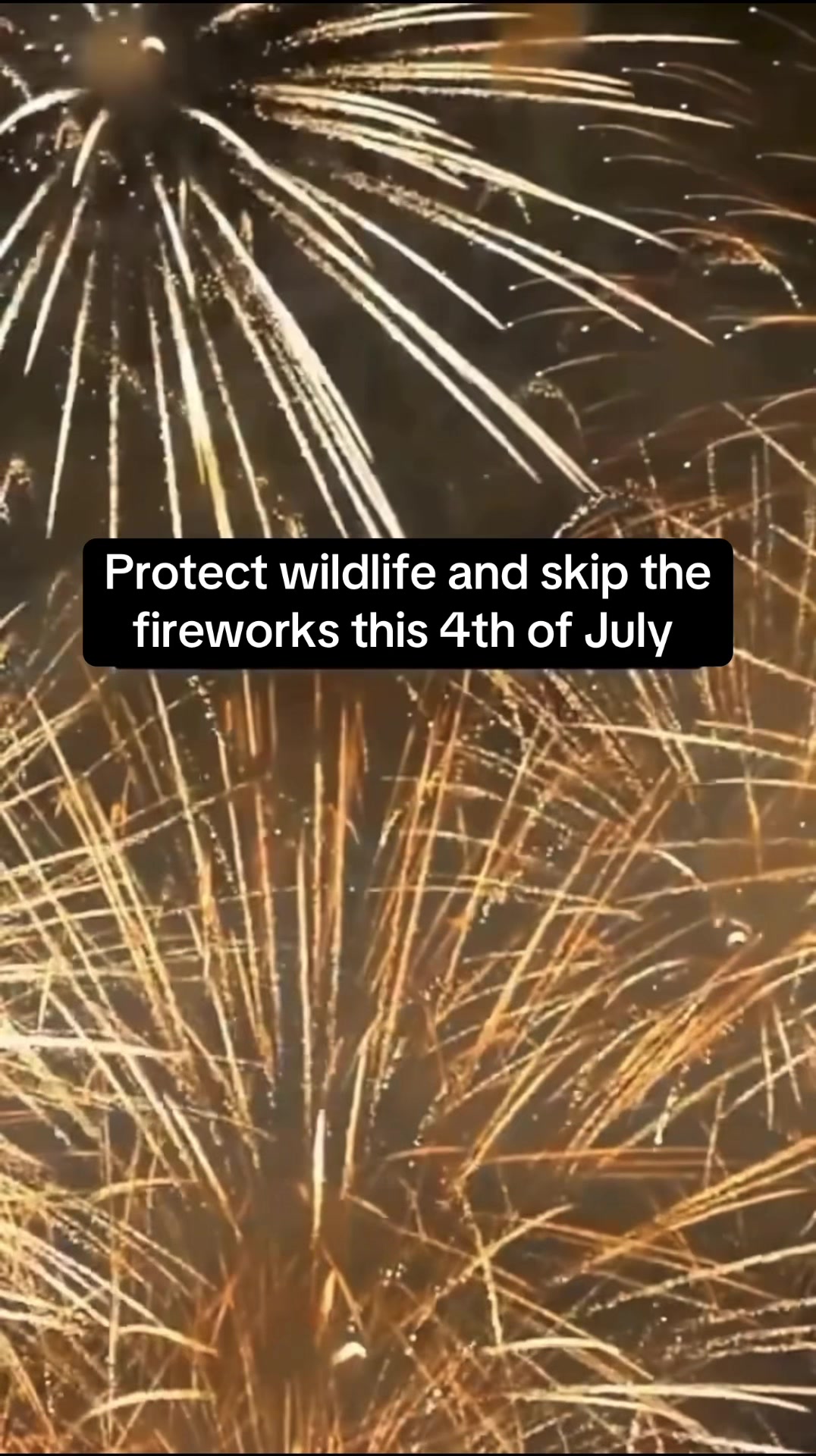 @animalrightsdaily