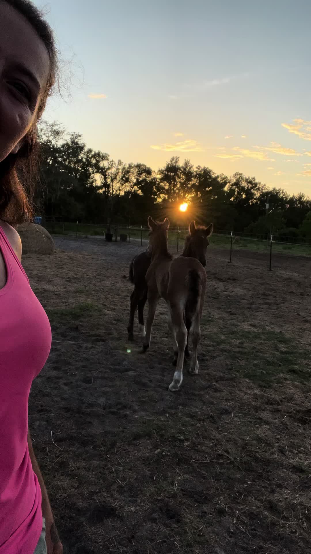 @saltdragonfarm