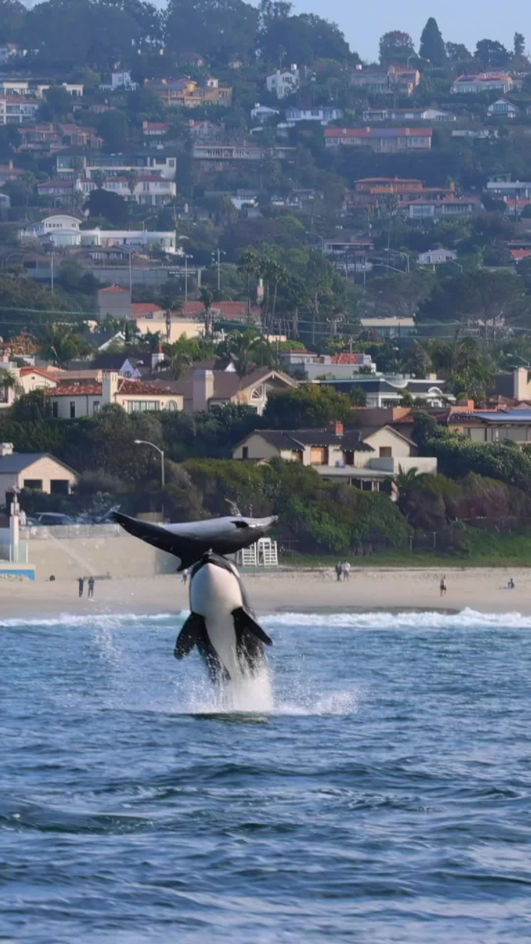 @TheOceanTourist