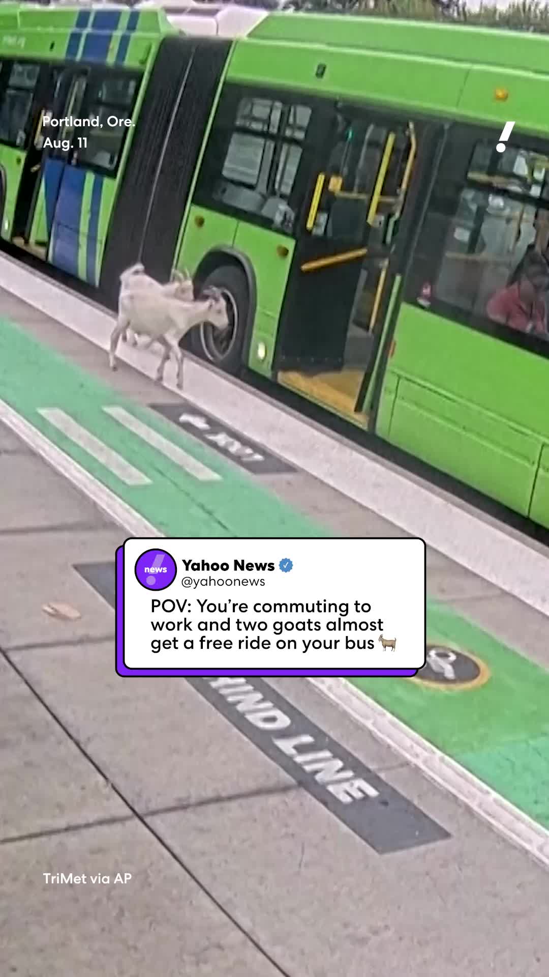 @Yahoo News
