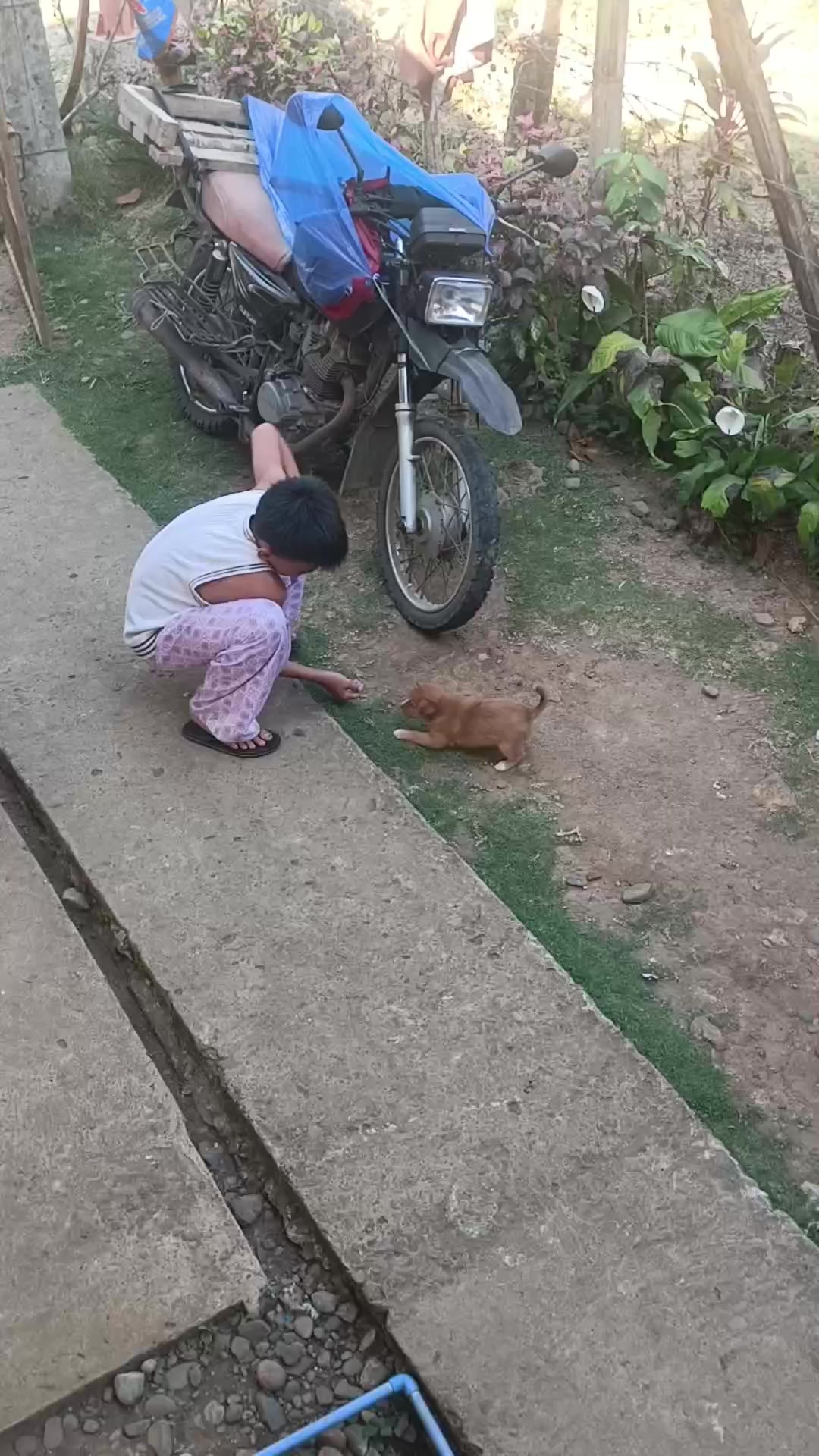 @𝘿𝙍𝙐𝘾