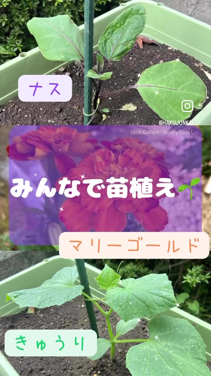 @博順会 博純苑