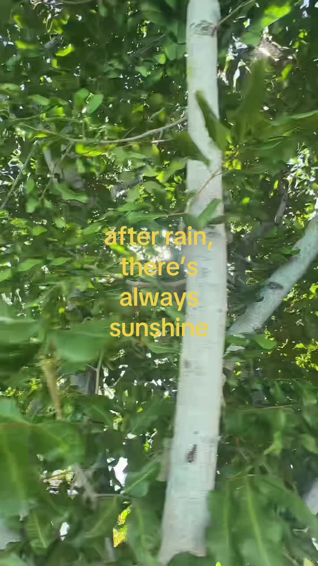 @hi