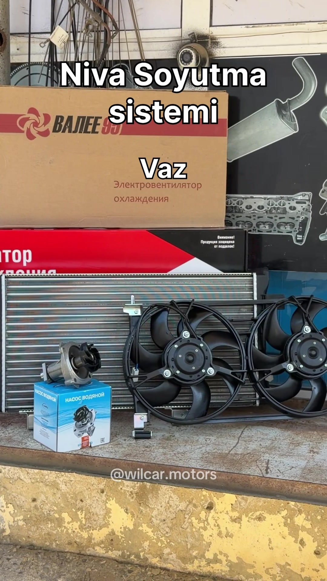 @WilCar Motors