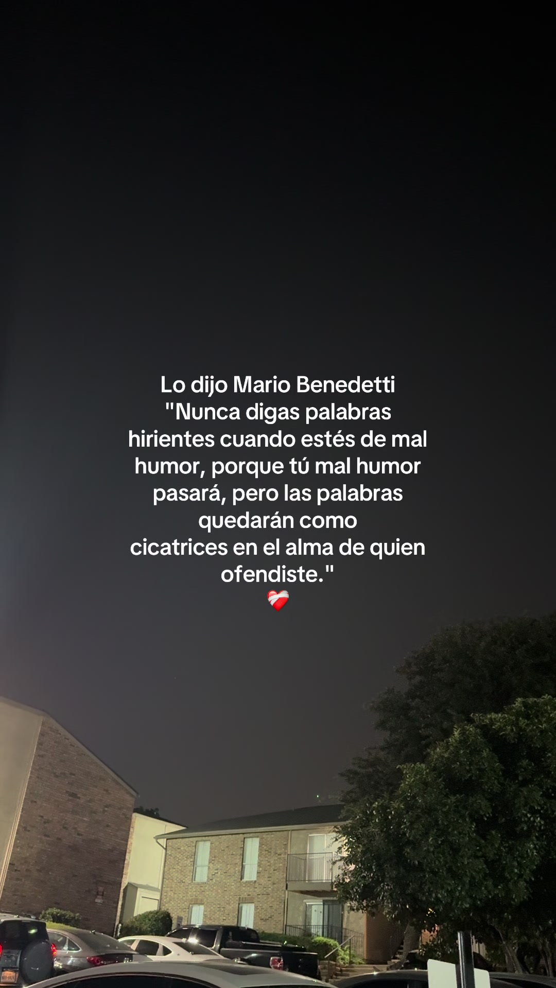 @🌻✨𝐸𝐿𝐼𝒵𝒜𝐵𝐸𝒯𝐻✨🌻