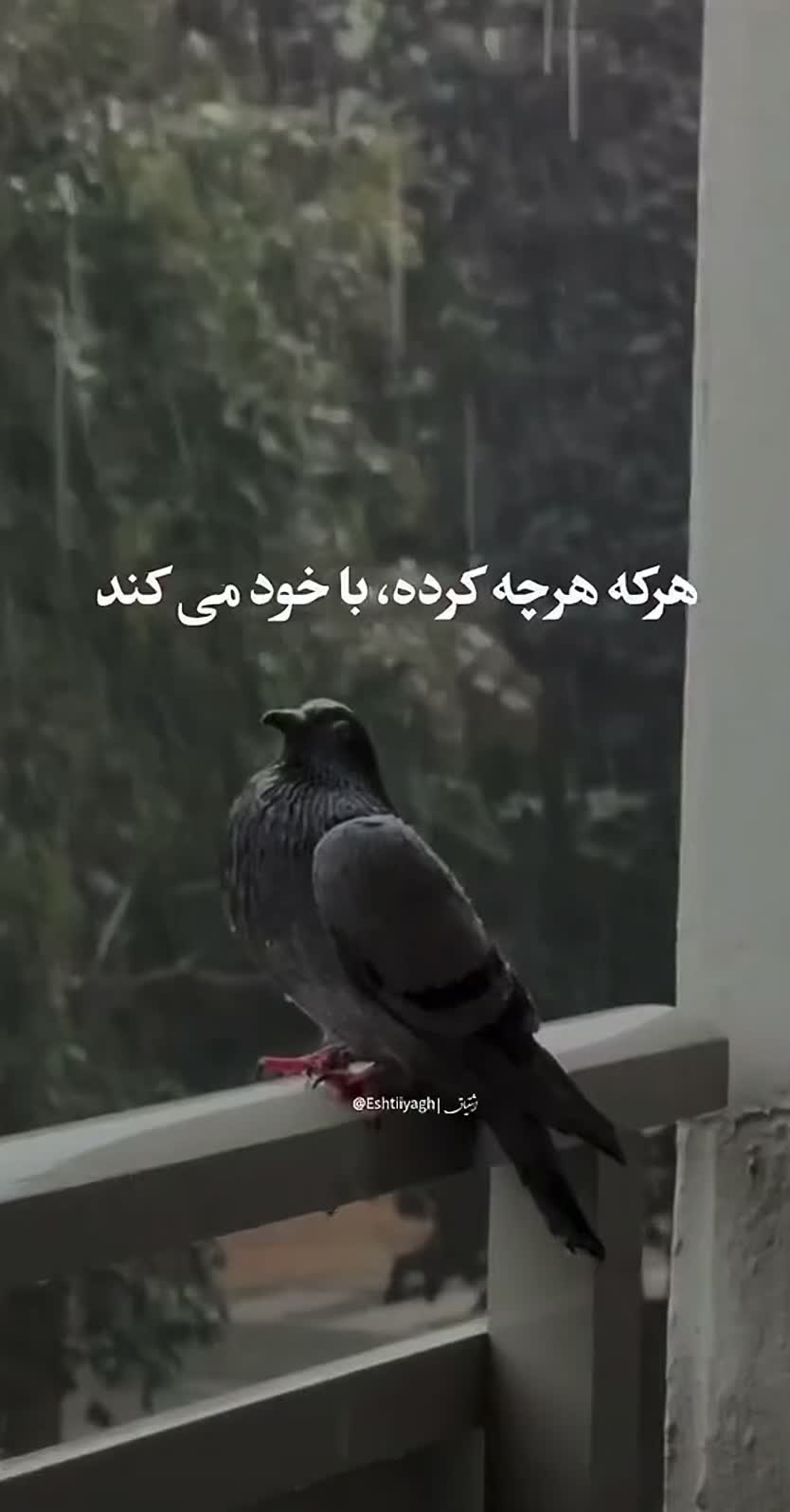 @a.jj.official