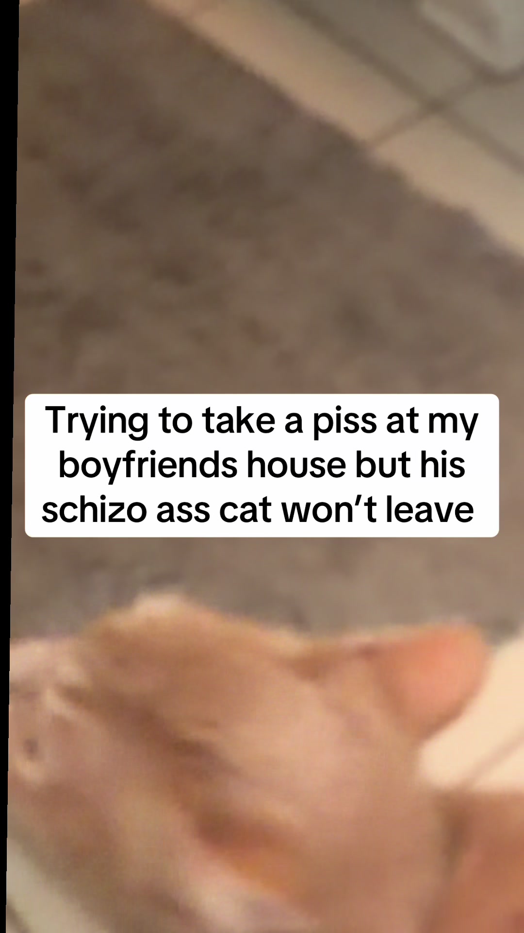 @lay🐞