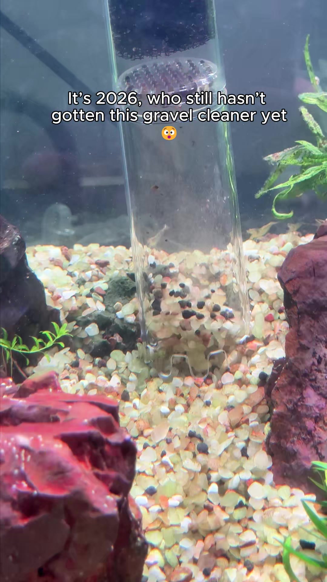 @AQQA Aquarium Store